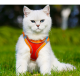 Pet Supplies Pet Supplies